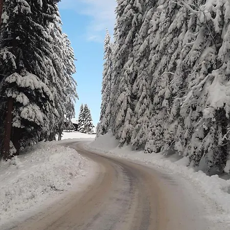 Guest house Haus Silvia