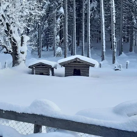 Haus Silvia 3* Флахау