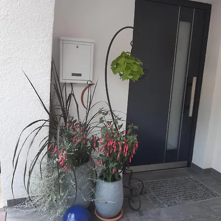 Haus Silvia Guest house Flachau