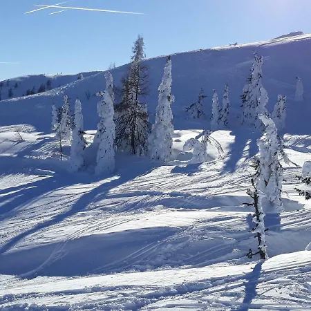 Haus Silvia Pensjonat 3*