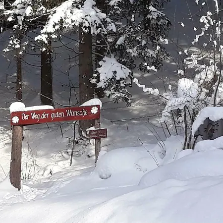 Haus Silvia 3* Флахау