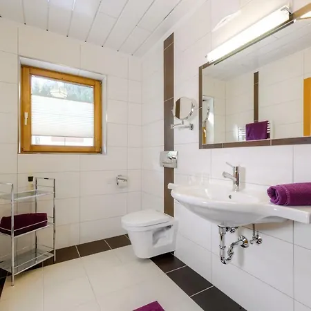 Haus Silvia Guest house Flachau
