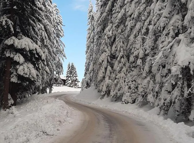 Гостевой дом Haus Silvia