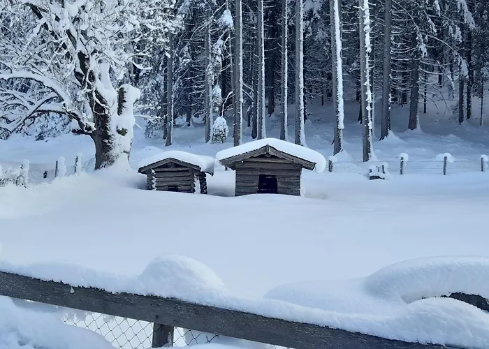 Haus Silvia 3* Флахау