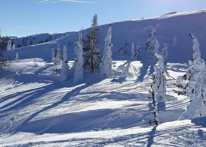 Haus Silvia Гостевой дом 3*