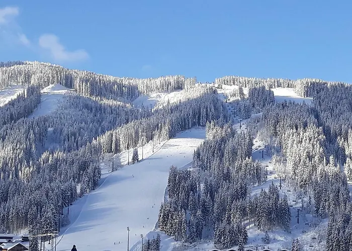 Guest house Haus Silvia 3*